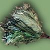 Веник
